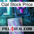 Cial Stock Price 37